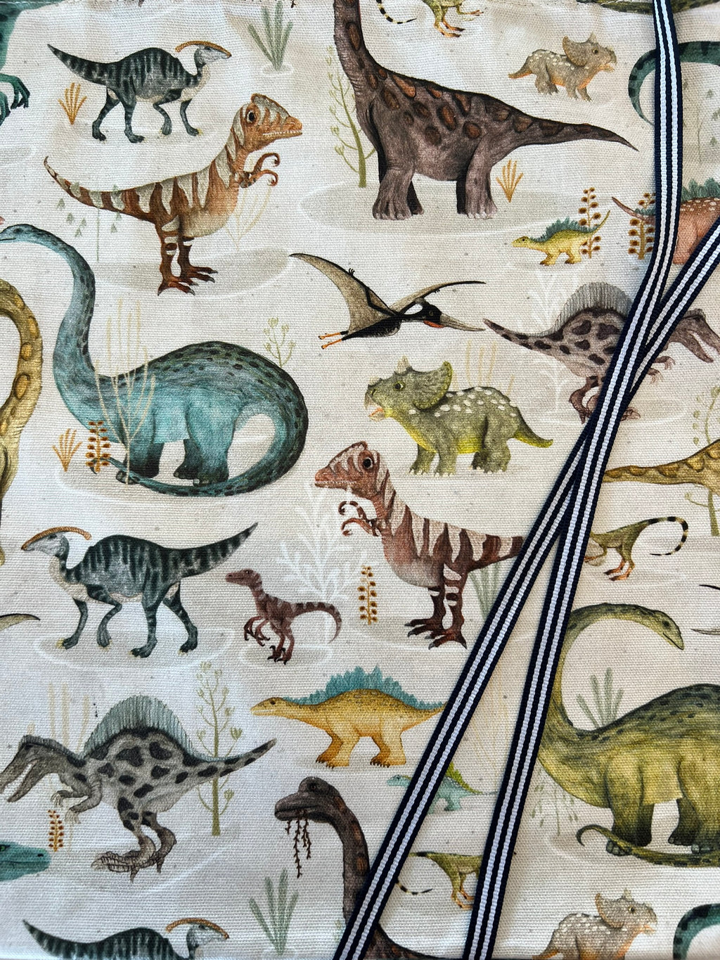 Dino discovery